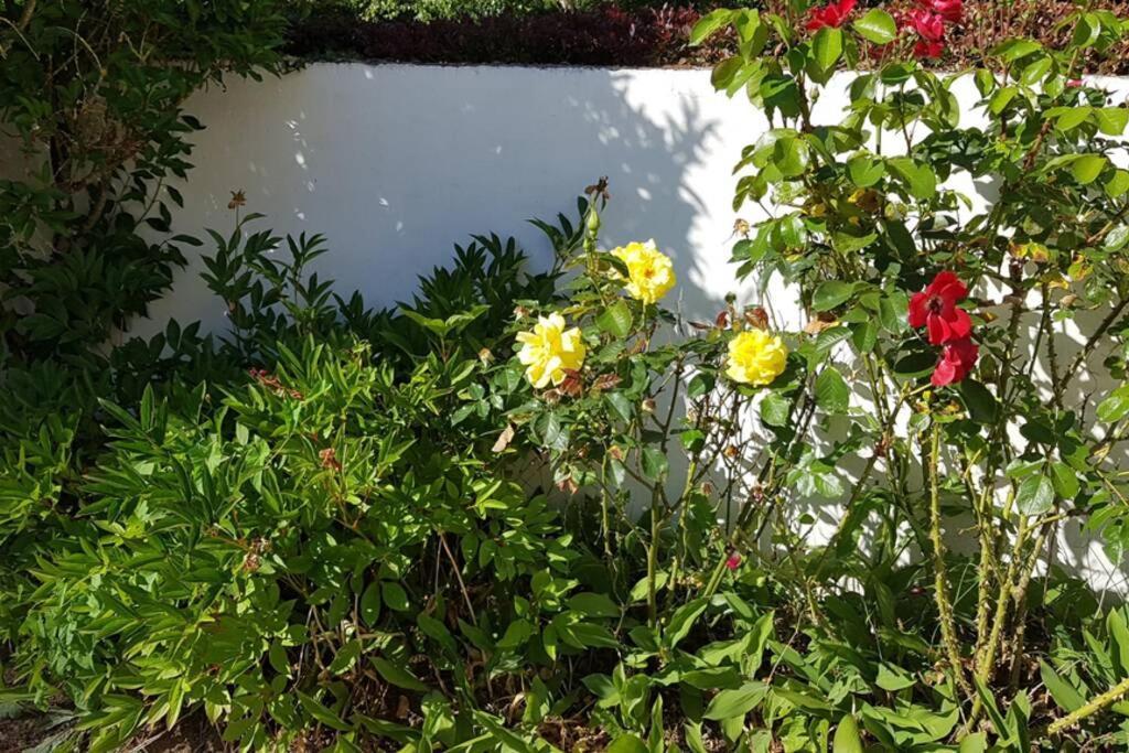 Le Clos De Chacha Villa Carly Dış mekan fotoğraf